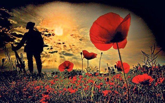 Pantera Wardrobes donates a £140 to the Poppy Appeal By Recycling